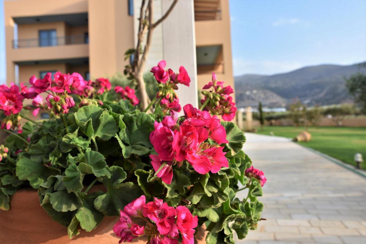 Golden Bay Hotel Apartments Malia  Luaran gambar